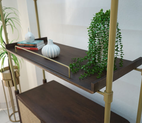 Rachit Sheesham Wood and Cane Door Brass Piping Book Shelf (Teak Finish)