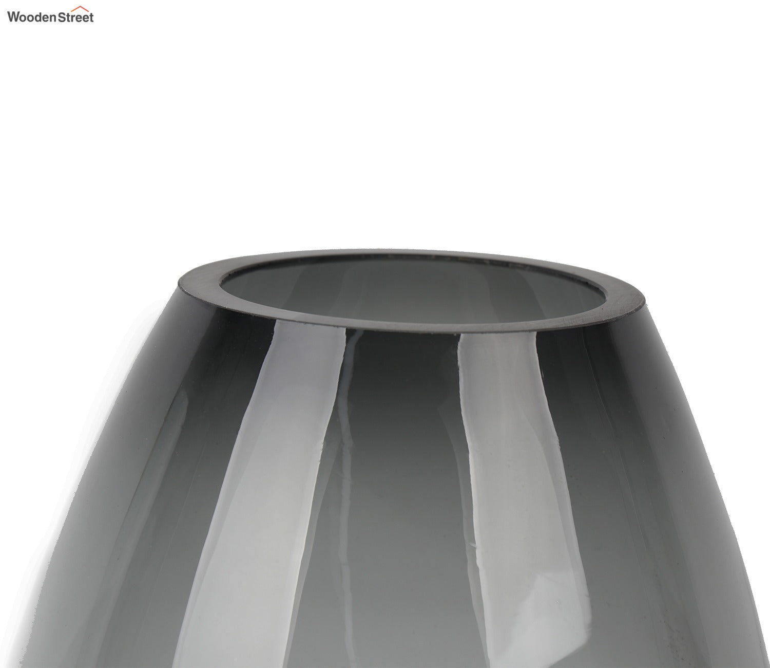 Botanic Wonders Glass Vase (Black, L)