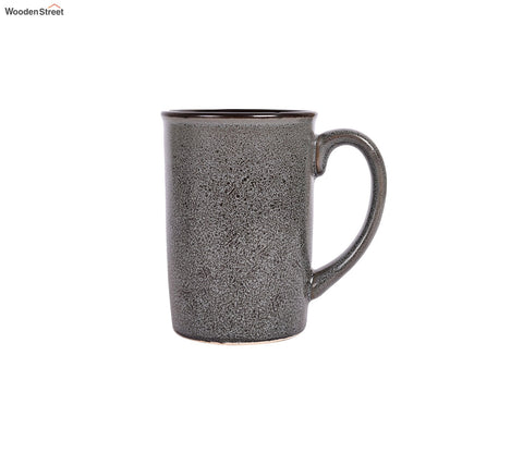 Classic Ceramic Coffee Mug (Set of 2)