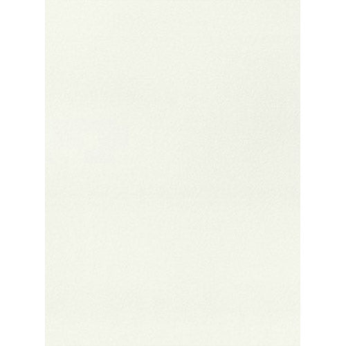 Trueliving_Centuryply_FROSTY WHITE__Design Code: 111 SIZE:2440 MM X 1220 MM  THICKNESS: 1 MM