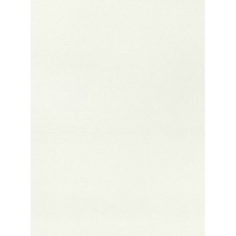 Trueliving_Centuryply_FROSTY WHITE__Design Code: 111 SIZE:2440 MM X 1220 MM  THICKNESS: 1 MM