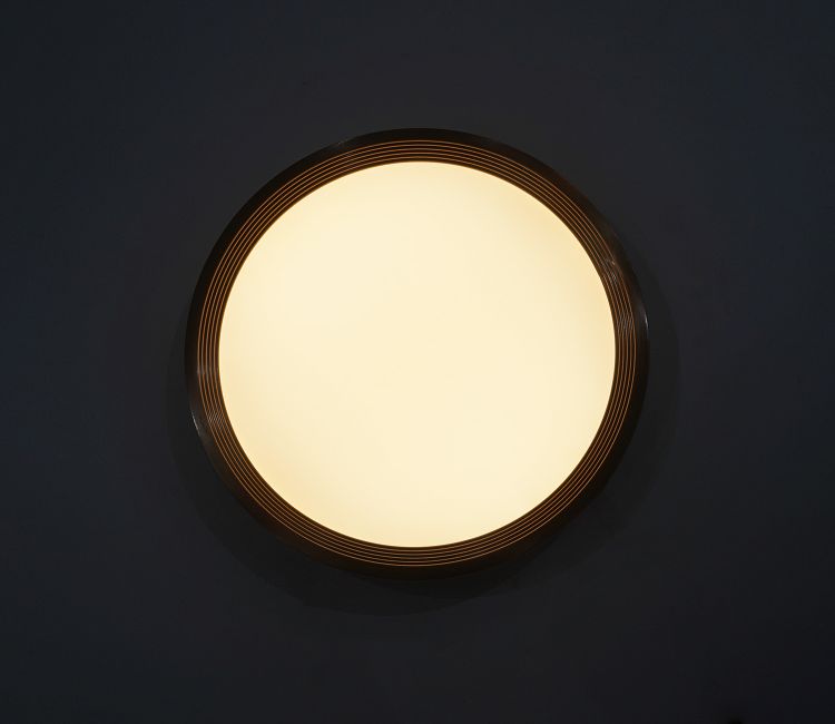 Blossom Brilliance Ceiling Light