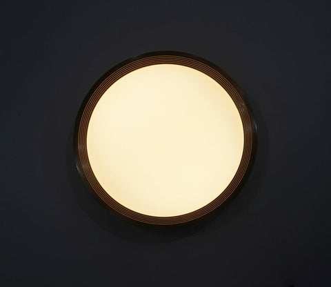 Blossom Brilliance Ceiling Light