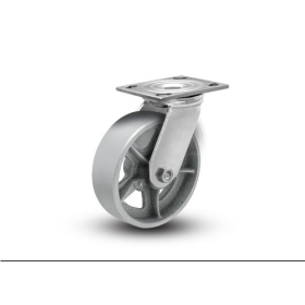 Trueliving_Cast Iron Caster Wheels Color	Silver Product Type	Furniture Caster