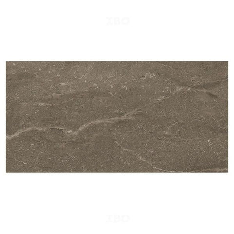 Trueliving_Orient Bell Piasentina Stone Brown Glossy 600 mm x 300 mm Ceramic Wall Tile_Price-45_Per Sq Ft.