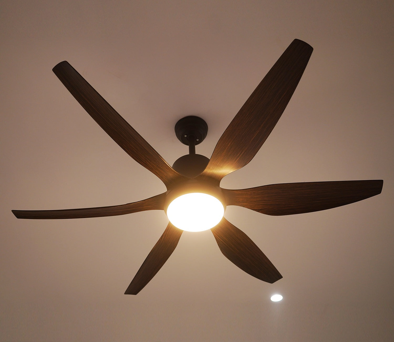 Power in Simplicity Lighting Fan