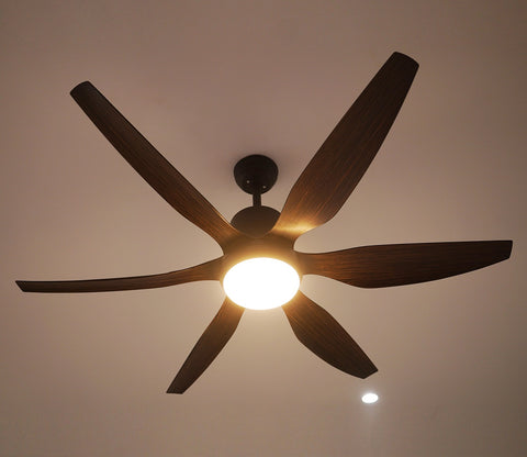 Power in Simplicity Lighting Fan