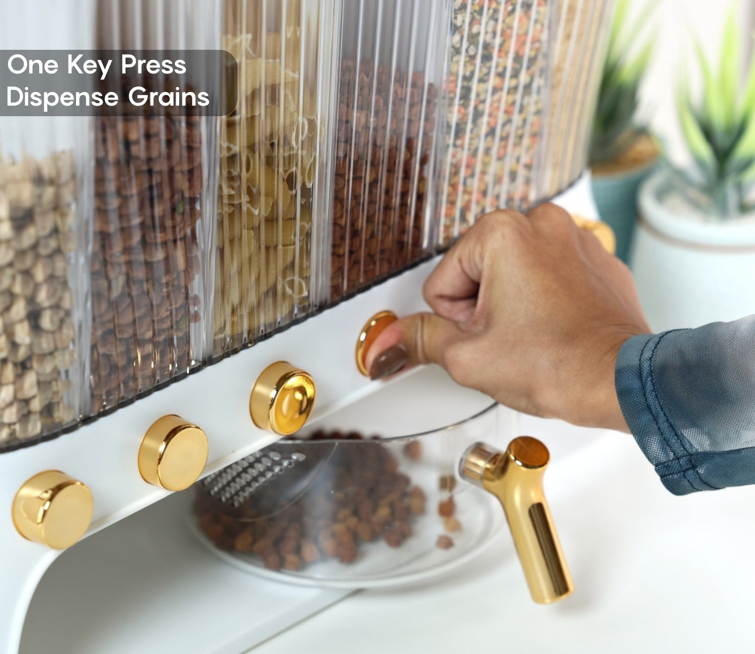 Everest 6-Compartment All-In-One Grain Dispenser