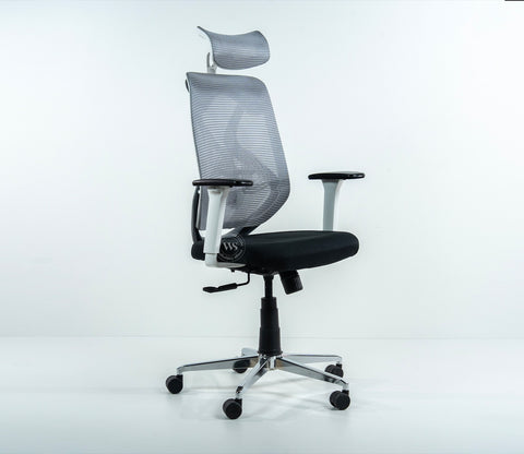 Pictor High Back Mesh Office Chair (Black)