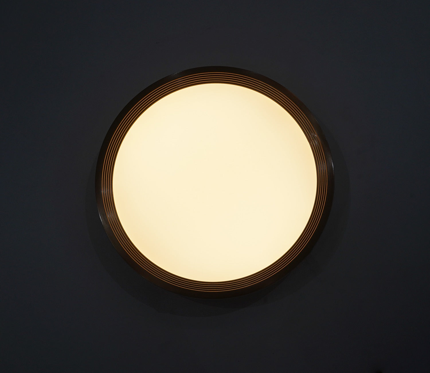 Blossom Brilliance Ceiling Light