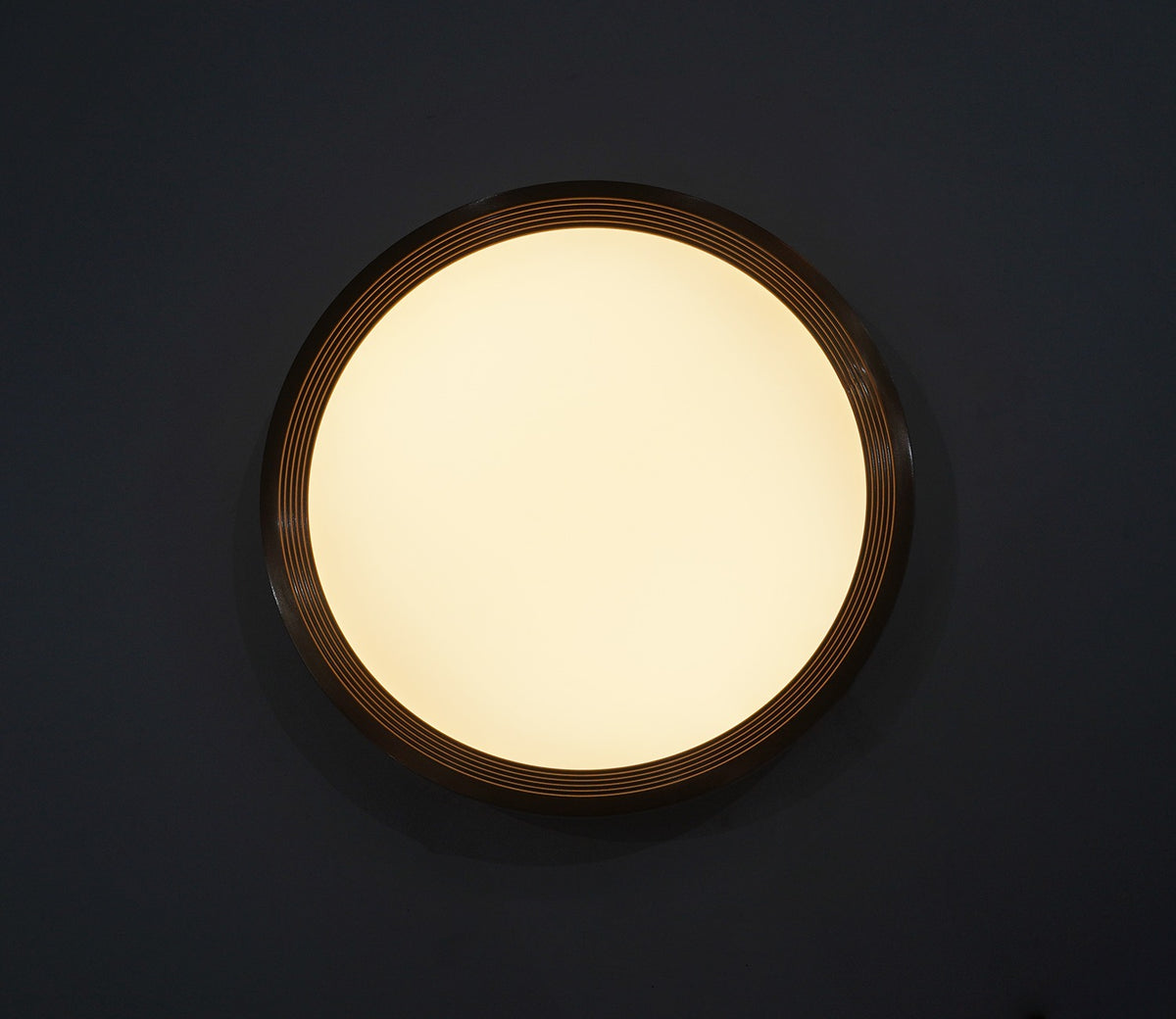 Blossom Brilliance Ceiling Light