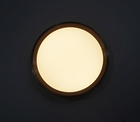 Blossom Brilliance Ceiling Light