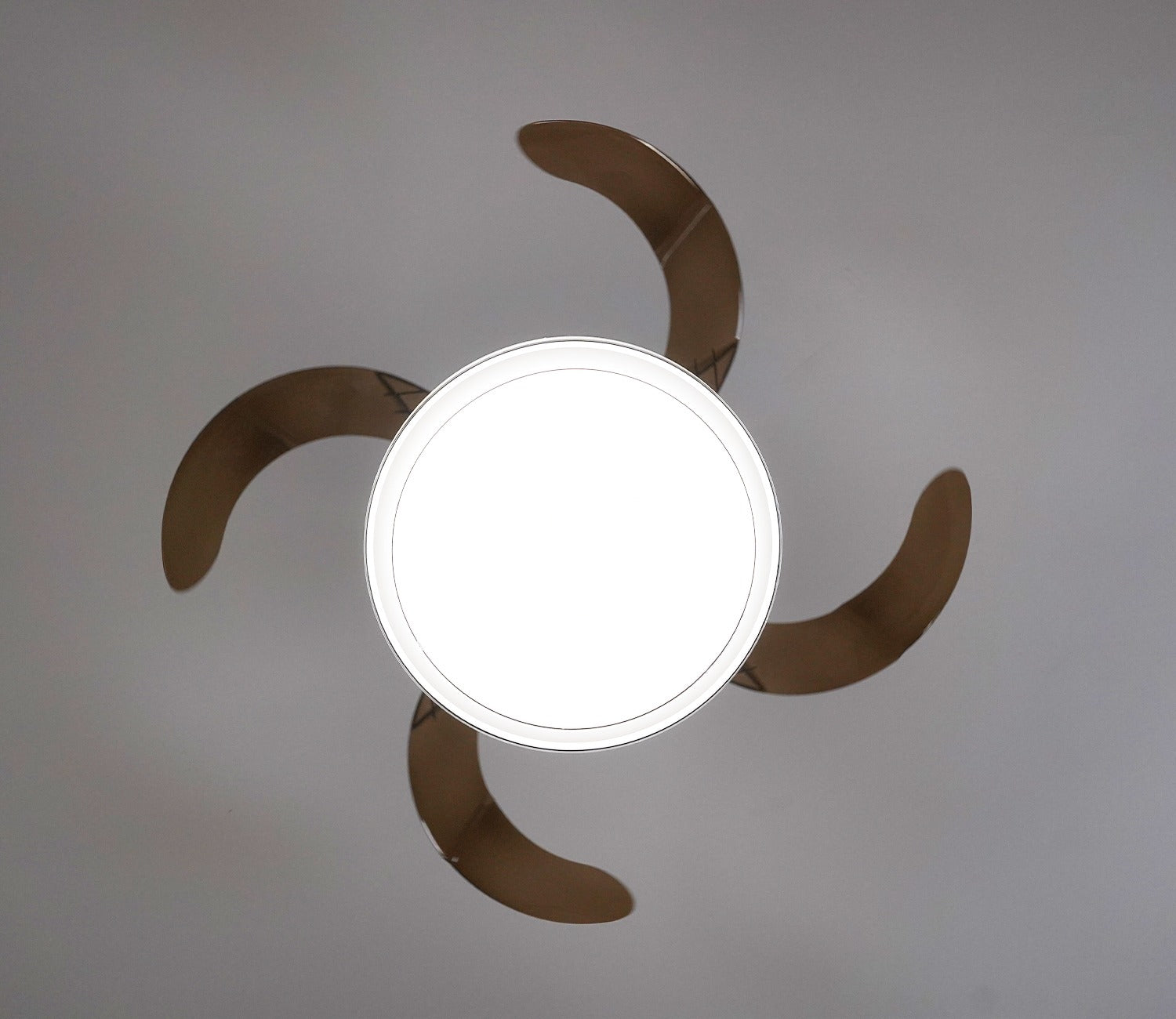 Purity in Motion Lighting Fan-Black