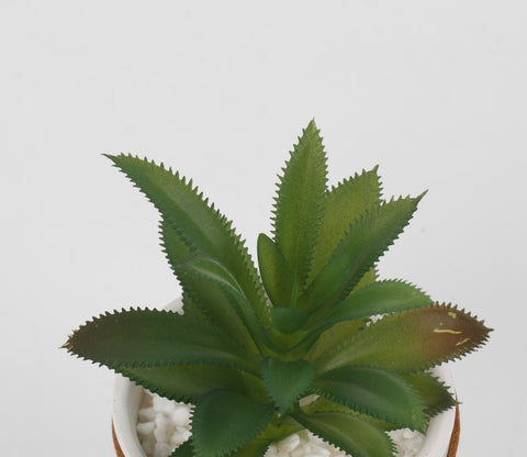Bloomify Ceramic Pot With Artificial Flowers (White)