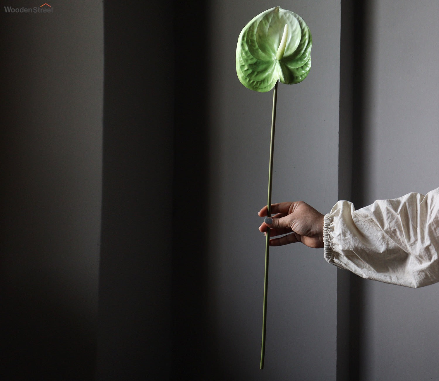 Anthurium Artificial Leaf