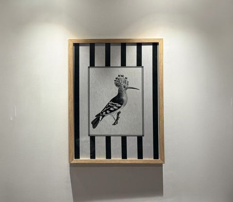 Vintage Hand-Drawn Hoopoe Bird Sketch Wall Art Frame (Multi Color)