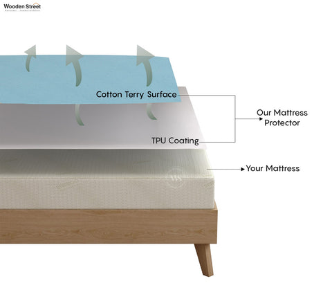 Featherix Cotton Feel Terry Ultra Soft Breathable Hypoallergenic Waterproof Mattress Protector King Size (Powder Blue, 78 x 72)