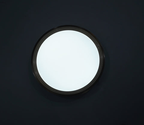 Blossom Brilliance Ceiling Light