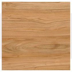 Trueliving_Delfina Timber Plank Wood Matte 600 mm x 600 mm Ceramic Floor Tile_Price-38_Per Sq Ft.