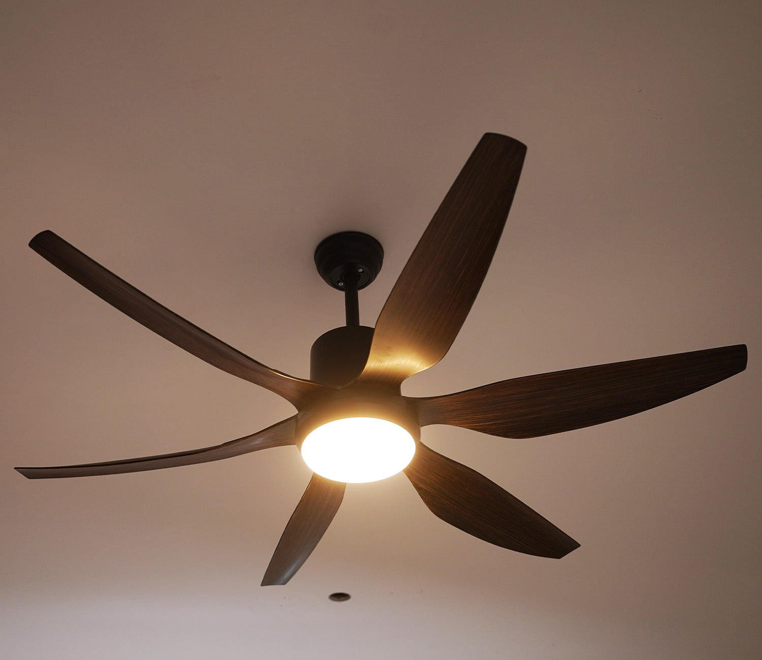Power in Simplicity Lighting Fan