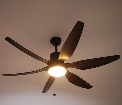 Power in Simplicity Lighting Fan