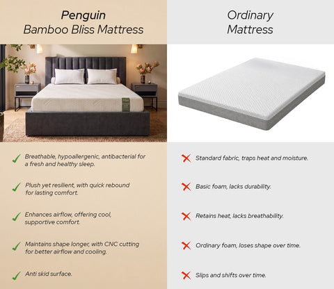 Bamboo Bliss Natural Cooling Latex Mattress (6 inch, Queen Size, 78 x 60)