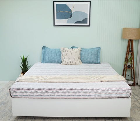 Akin Classic Printed King Size Bedsheet (Multi Colour)