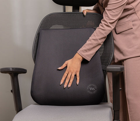 Ergolean Orthopedic Backrest Cushion (Black)