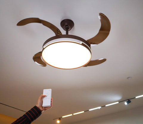 Purity in Motion Lighting Fan-Brown