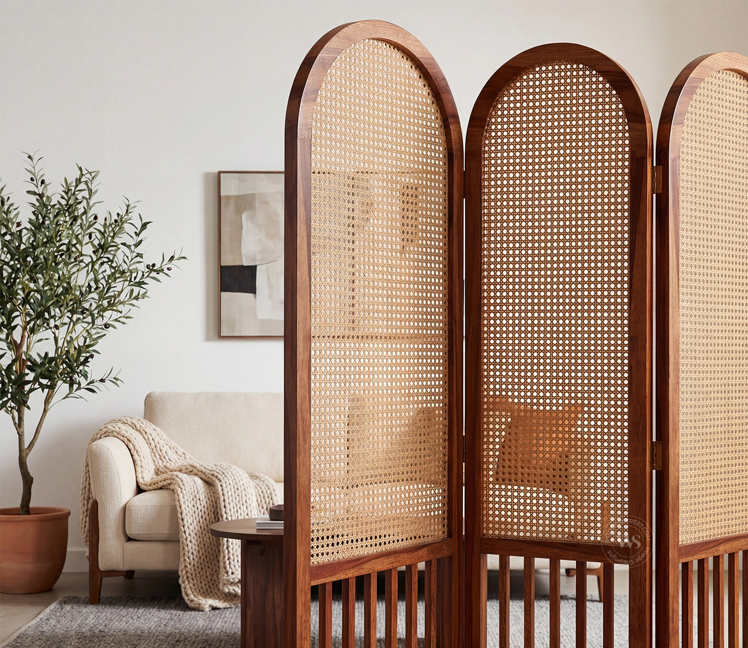Aavriti Arched Sheesham Wood Room Divider with Natural Cane Weave - Foldable 3 Panel Screen