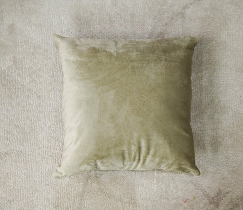 Cupid Velvet Cushion Covers - Pack of 5 (22 x 22 Inches, Pearl Beige)