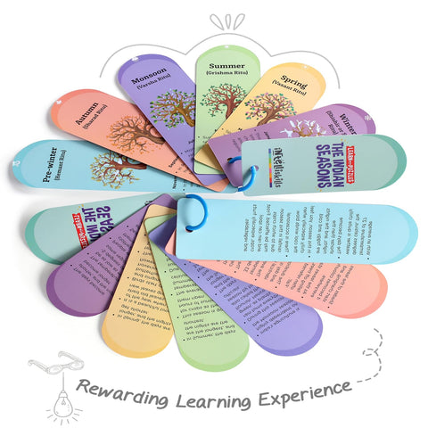 Trueliving Intelliskills Words Puzzles Multicolor