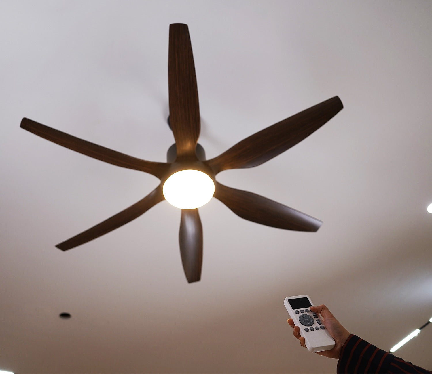 Power in Simplicity Lighting Fan