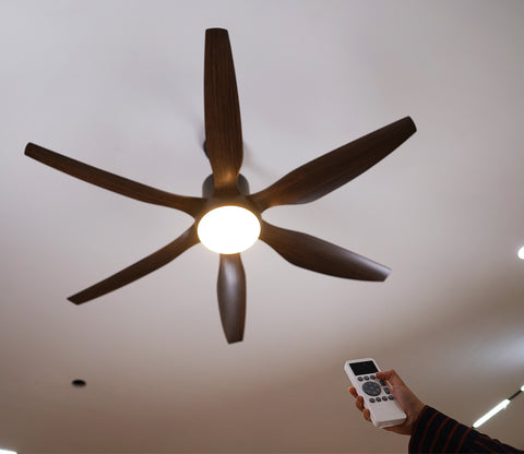 Power in Simplicity Lighting Fan