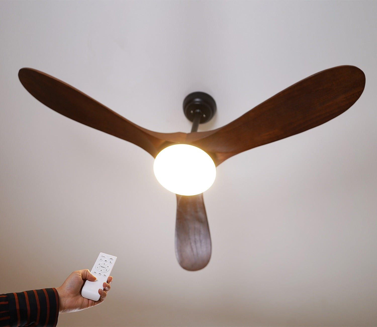 Three Feathers of Bliss Lighting Fan
