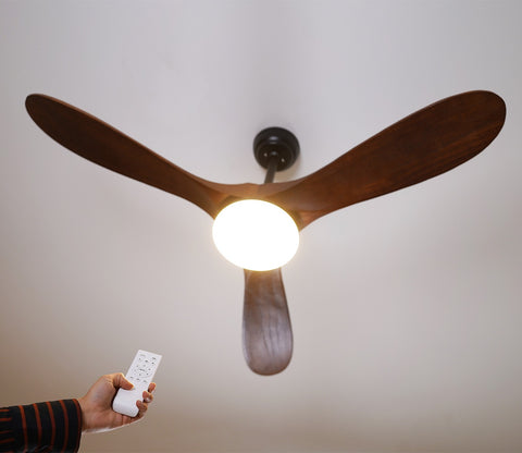 Three Feathers of Bliss Lighting Fan