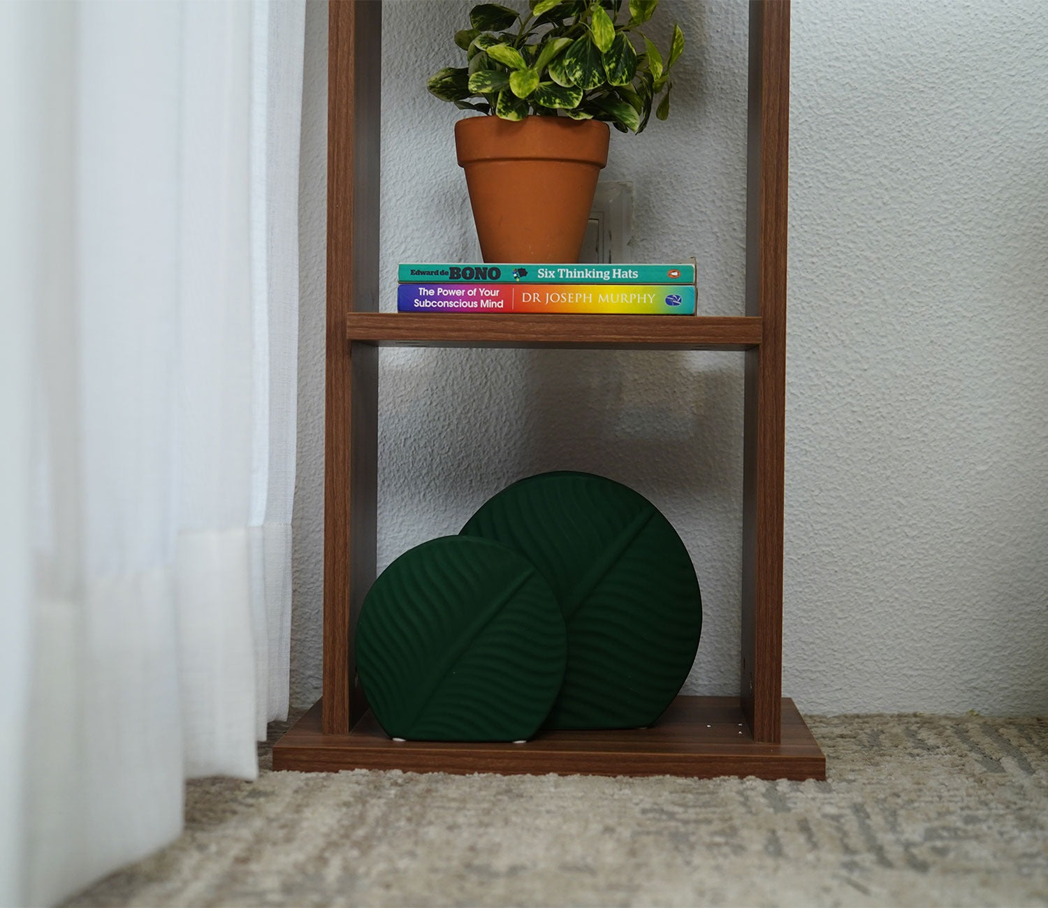 Canny Book Shelf (Exotic Teak Finish)