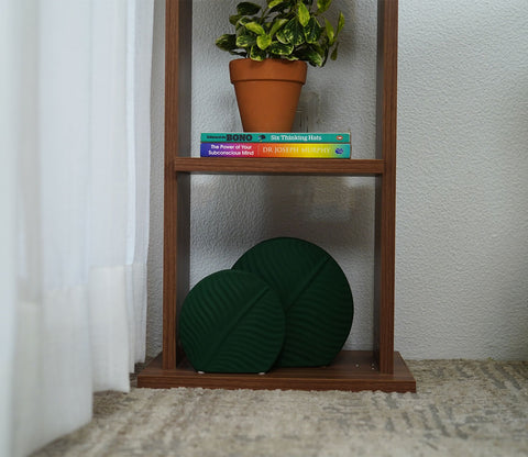 Canny Book Shelf (Exotic Teak Finish)