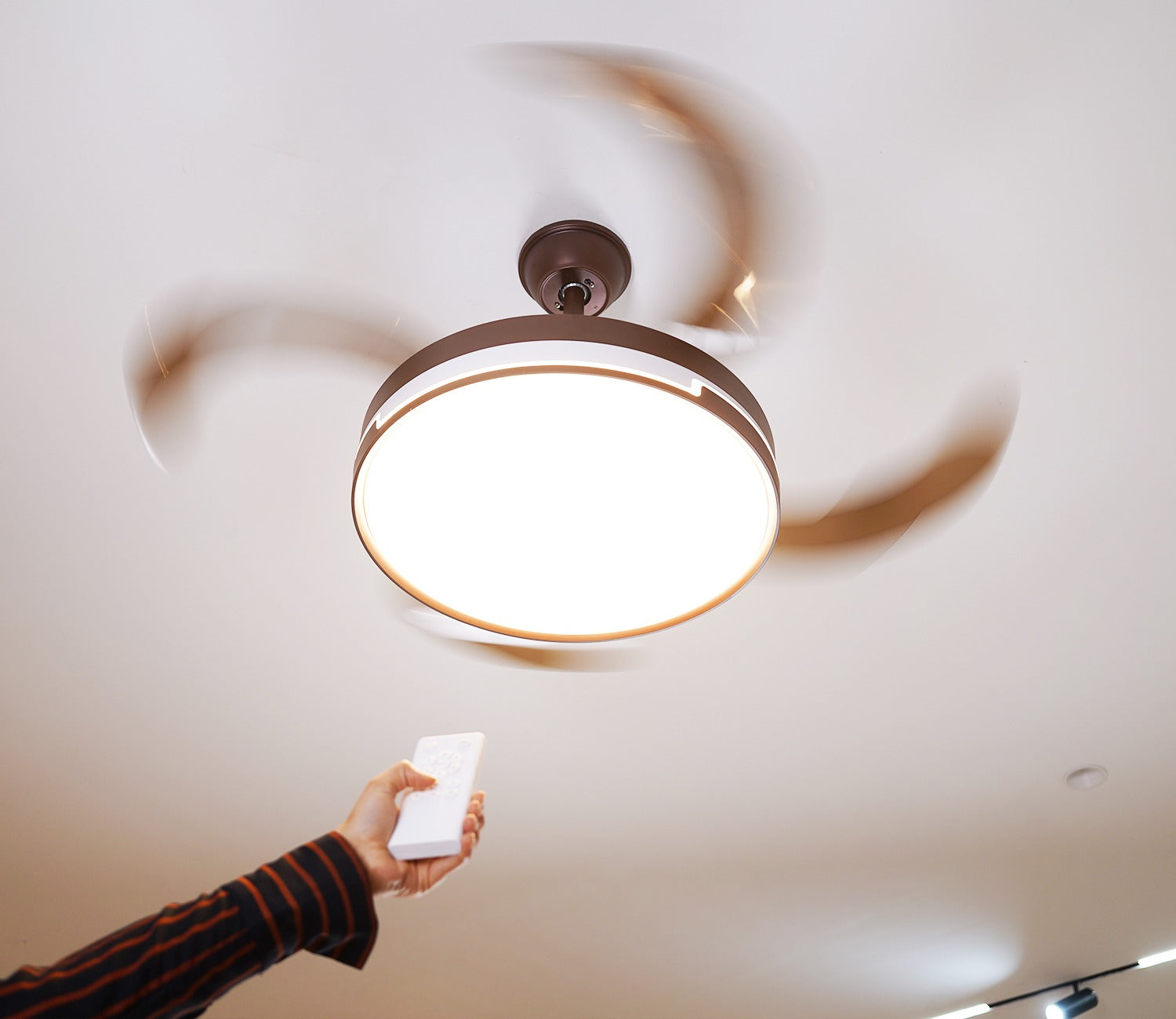 Purity in Motion Lighting Fan-Brown