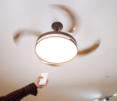 Purity in Motion Lighting Fan-Brown