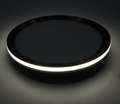 Blossom Brilliance Ceiling Light