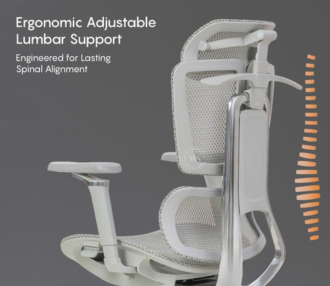 Bezus Ergonomic High Back Mesh Office Chair (Grey)