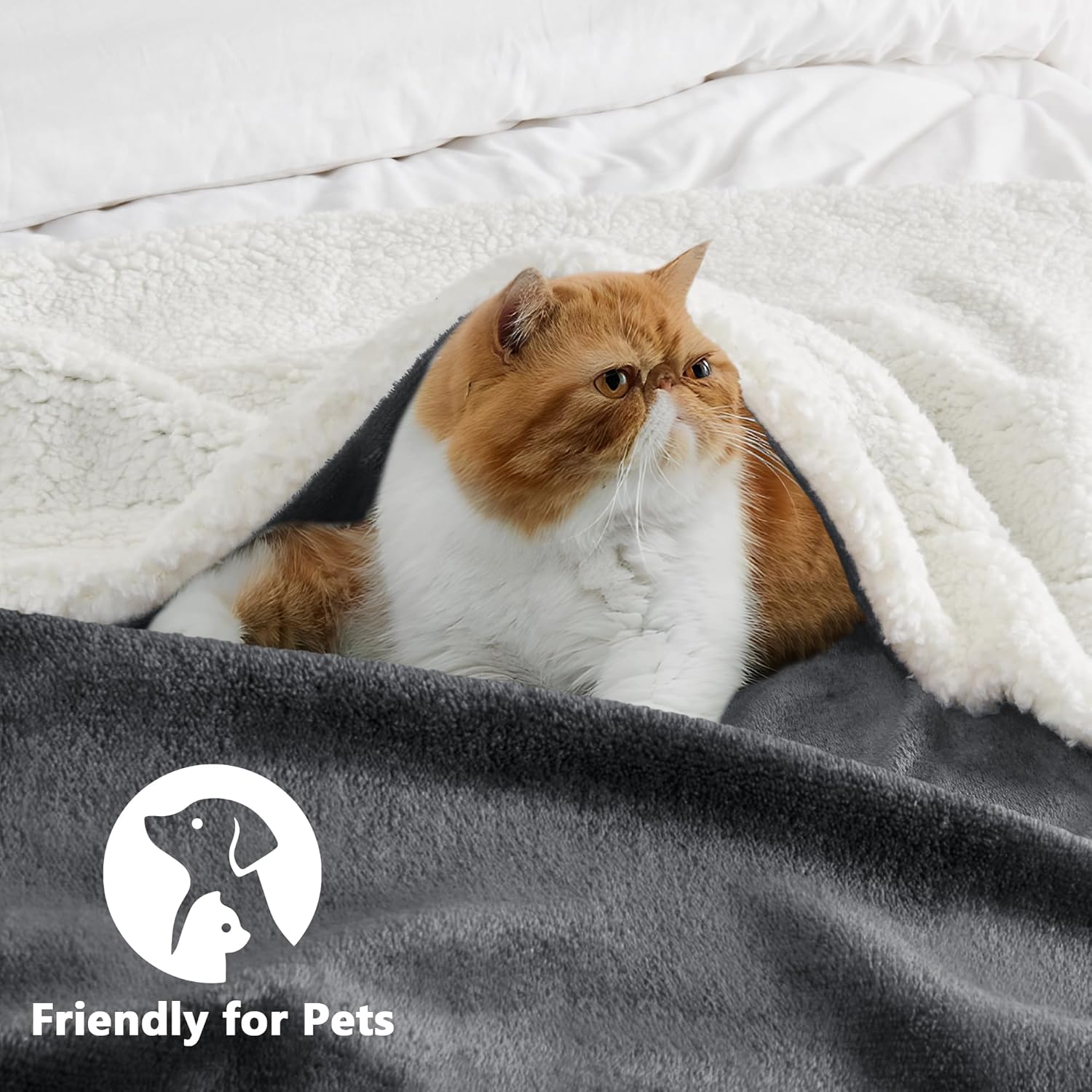 LINENOVA Sherpa Fleece Blanket Single 220x240cm, Thick & Warm Cozy Blanket for Winter, Soft Fuzzy Plush Throw for Sofa, Bed, Pets - Charcoal