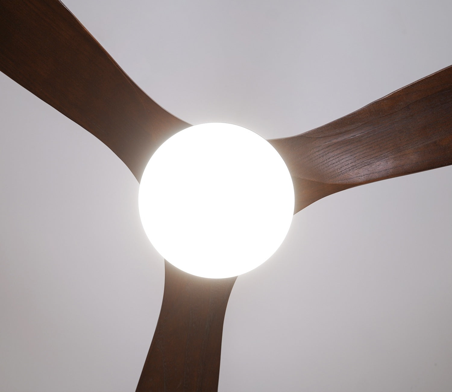 Three Feathers of Bliss Lighting Fan