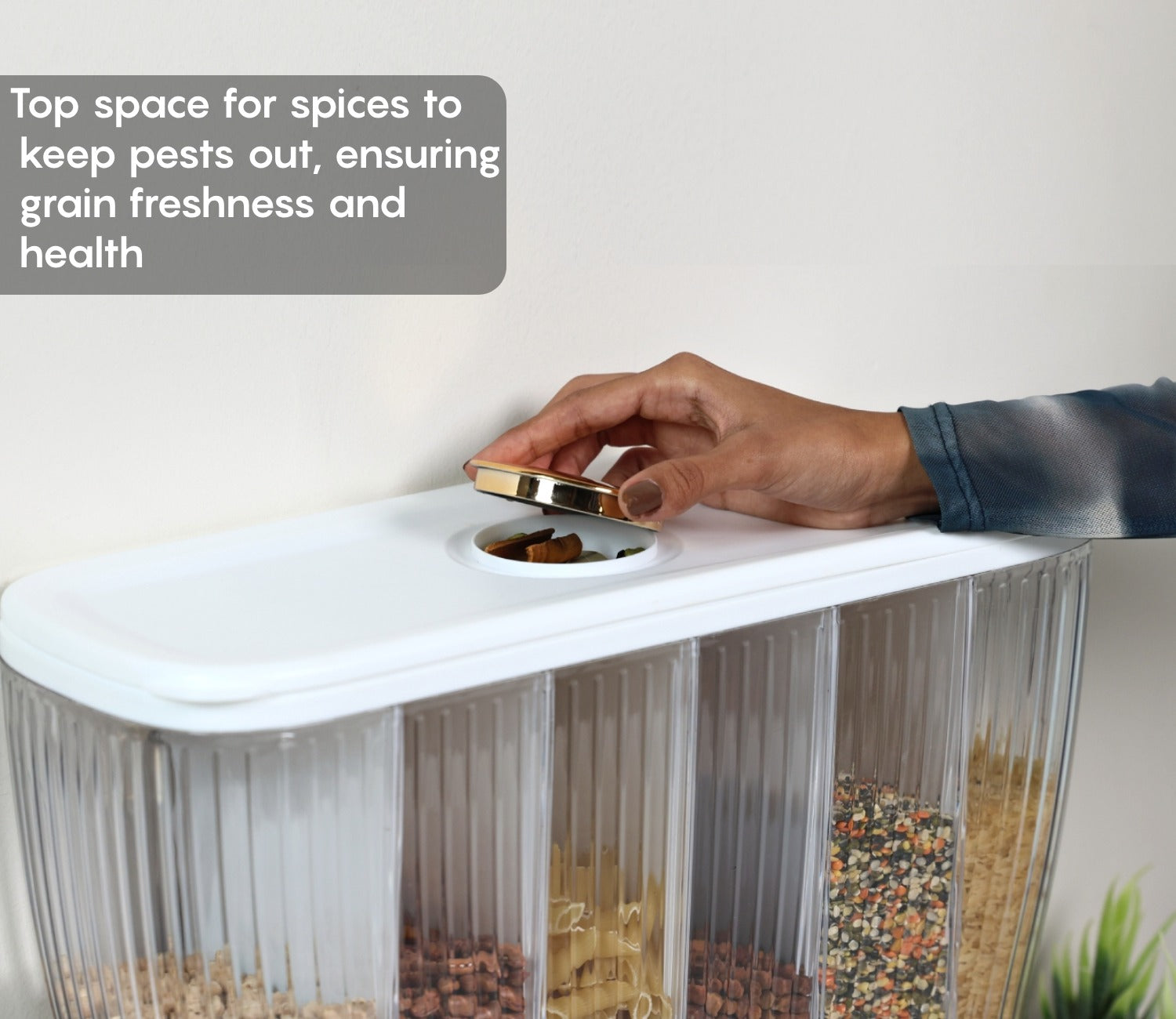 Everest 6-Compartment All-In-One Grain Dispenser