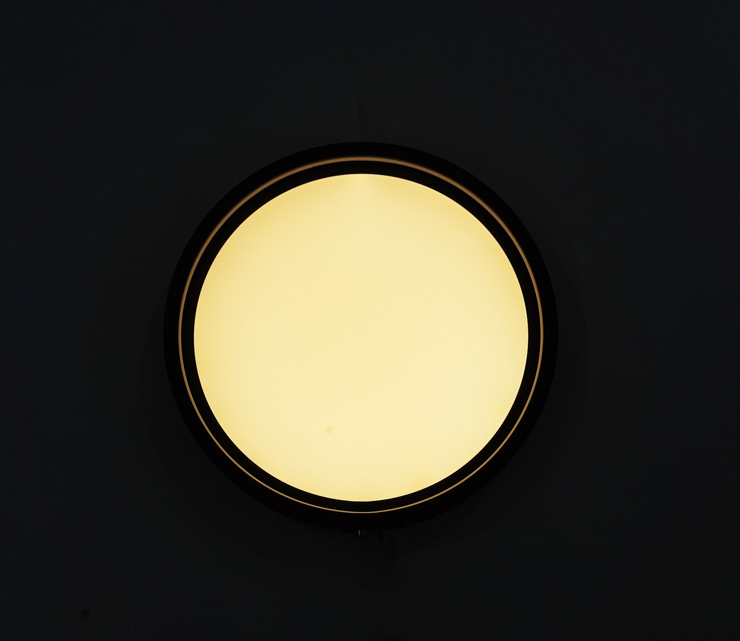Jewel of Light Ceiling Light
