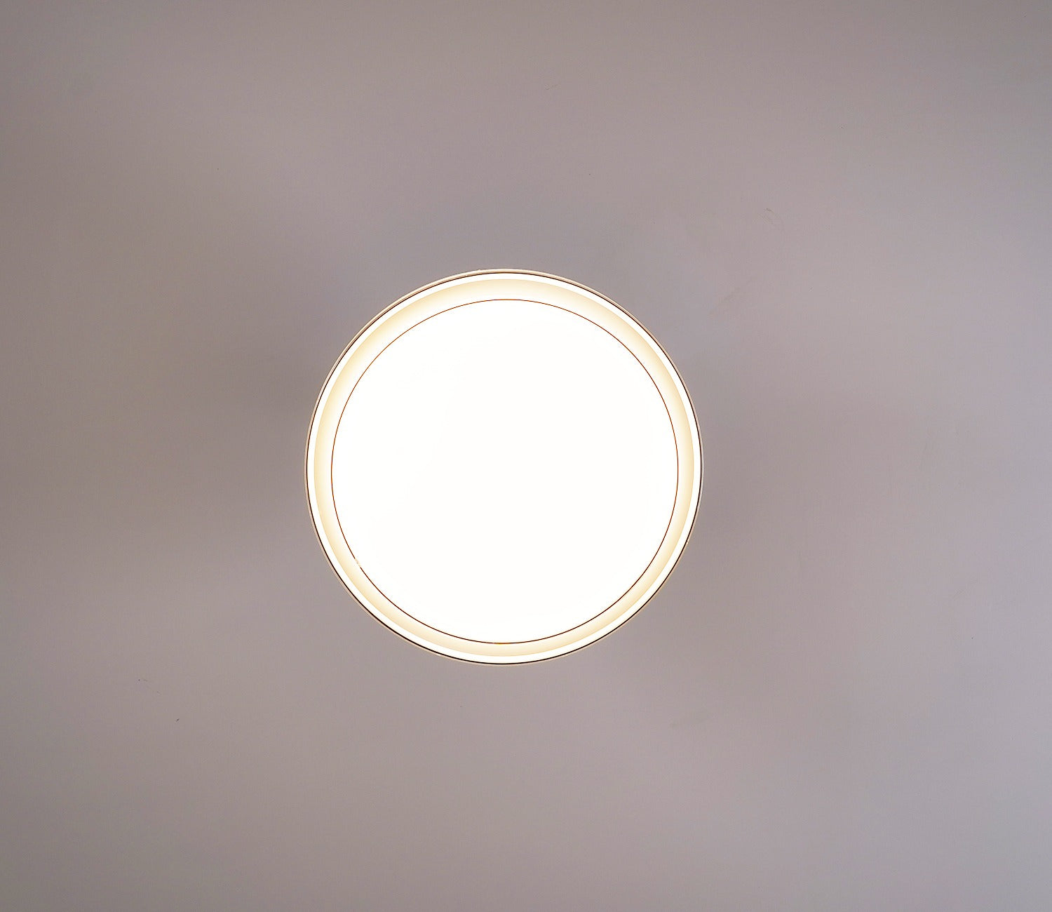 Purity in Motion Lighting Fan-Black