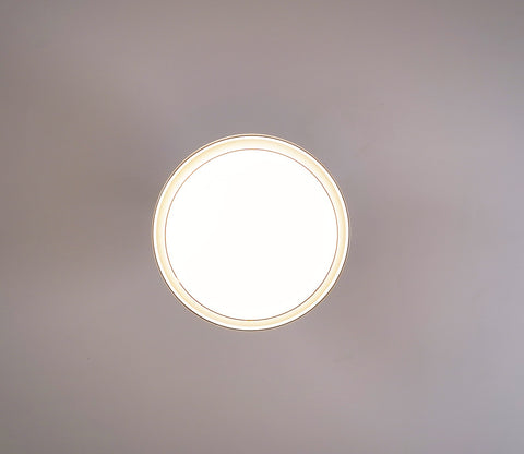 Purity in Motion Lighting Fan-Black