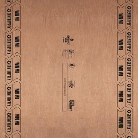Trueliving_Bond 710 BWP CenturyPly 8 ft x 4 ft Blockboard - 19 mm_Plywood_ 149/Sq. Ft.