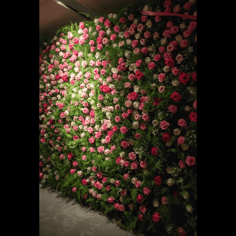 TrueLiving Golden Cart Wall Grass With Flower I Artificial Grass With Flower for Wall Decoration I Vertical Garden Artificial Mat I Artificial Grass Tiles for Balcony and Garden  20" x 20"